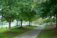 RAZ_2254.jpg