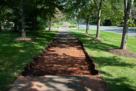 RAZ_2275.jpg