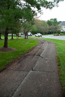 RAZ_2291.jpg