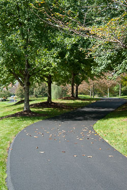RAZ_2390.jpg