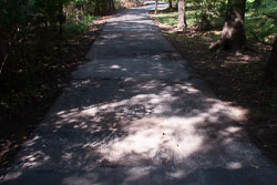 RAZ_2422.jpg