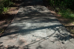 RAZ_2424.jpg