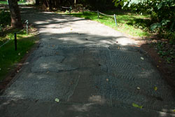 RAZ_2430.jpg