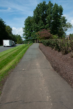RAZ_2434.jpg