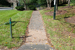 RAZ_2448.jpg