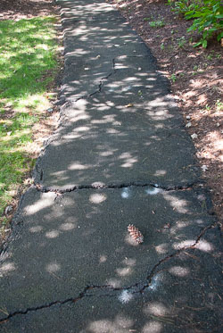 RAZ_2451.jpg
