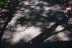 RAZ_2453.jpg