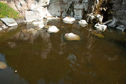 RAZ_2458.jpg