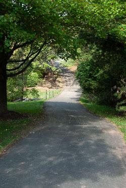 RAZ_2481.jpg
