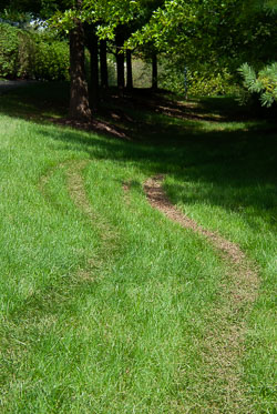 RAZ_2490.jpg