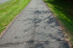 RAZ_2517.jpg