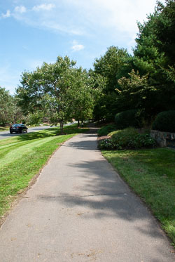 RAZ_2520.jpg