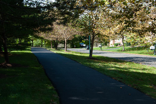 RAZ_2540.jpg