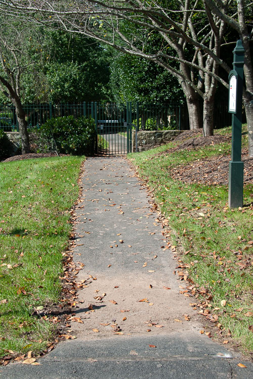 RAZ_2544.jpg