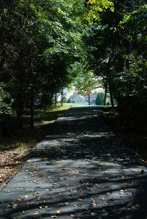 RAZ_2567.jpg
