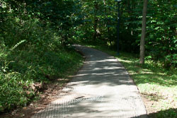 RAZ_2593.jpg