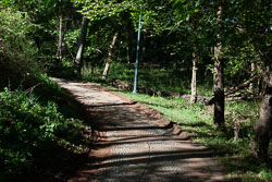 RAZ_2604.jpg