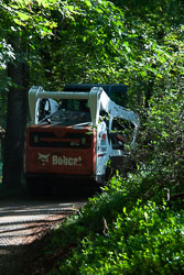 RAZ_2610.jpg