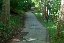 RAZ_2612.jpg