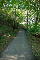 RAZ_2629.jpg