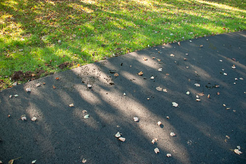 RAZ_2677.jpg