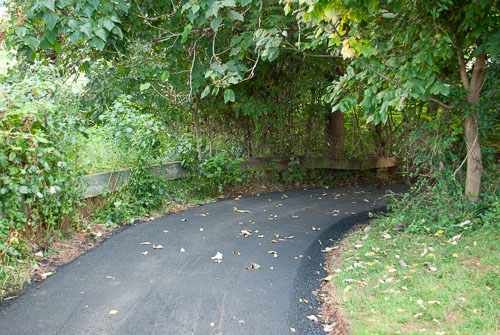 RAZ_2749.jpg