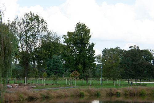 RAZ_2767.jpg