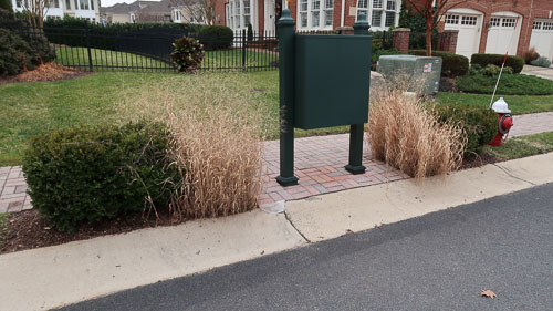 BrentWeston-20190206.jpg