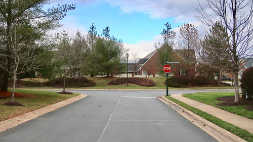 BrentWeston-20190222.jpg