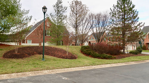BrentWeston-20190224.jpg