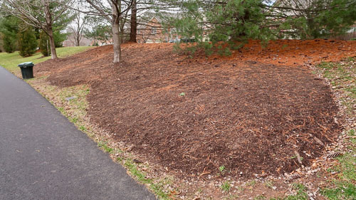 BrentWeston-20190227.jpg