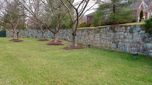 BrentWeston-20190239.jpg