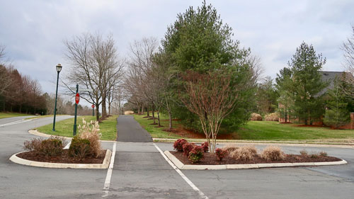 BrentWeston-20190244.jpg