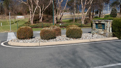 BrentWeston-20190247.jpg