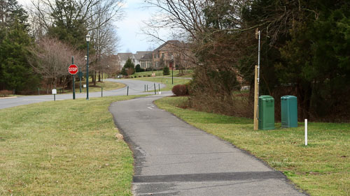 BrentWeston-20190251.jpg