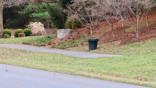BrentWeston-20190259.jpg