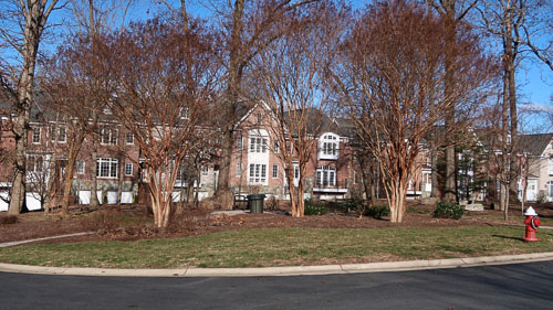 BrentWeston-20190264.jpg