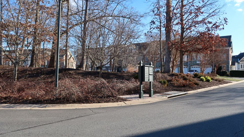 BrentWeston-20190267.jpg