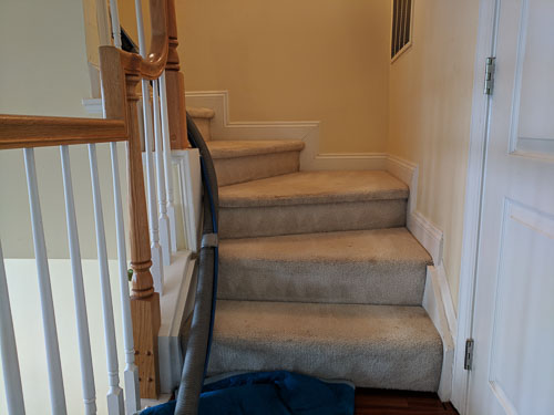 IMG_20190309_100128.jpg
