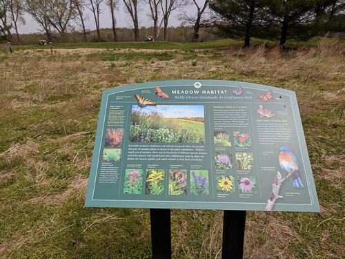 2019-04-11 Confluence Park Fields and Swale 