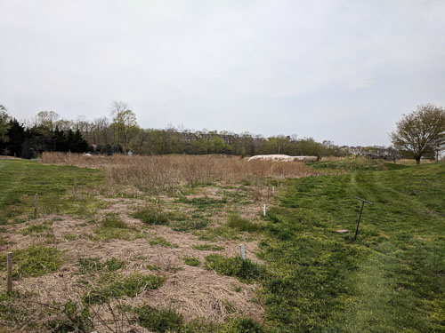 IMG_20190411_130355.jpg
