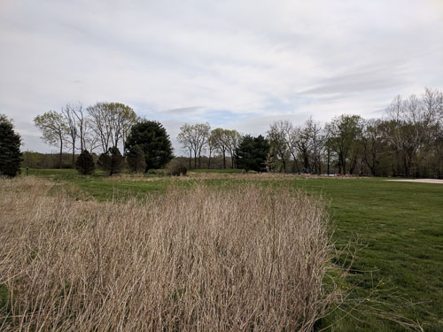 IMG_20190411_130654.jpg