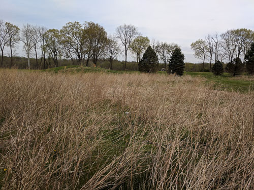IMG_20190411_130659.jpg