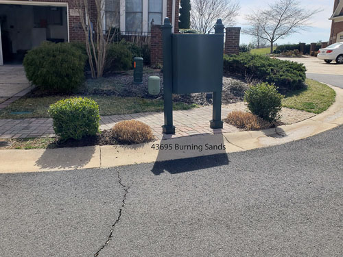 20190327_115425_edited-1.jpg