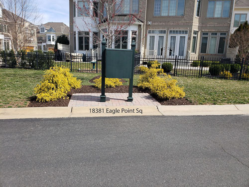 20190327_120002_edited-1.jpg