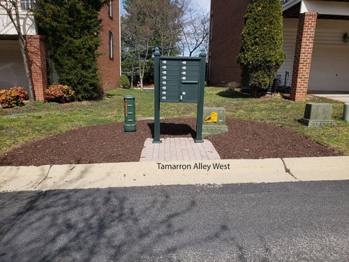 20190327_120401_edited-1.jpg