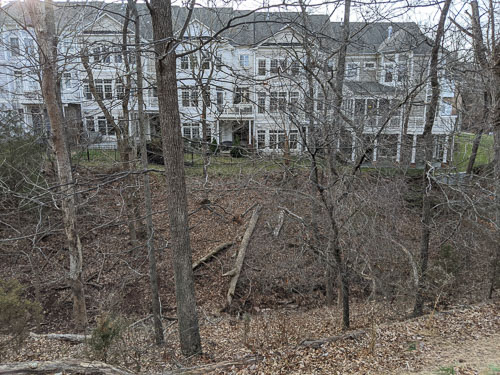 2020 02 Cut down trees