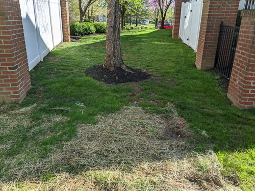 2020 04 21 Drainage Problem