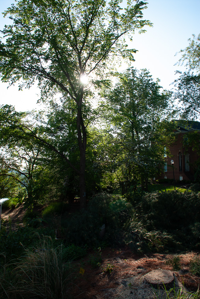 RZ0_3115.jpg