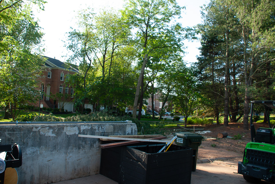 RZ0_3117.jpg